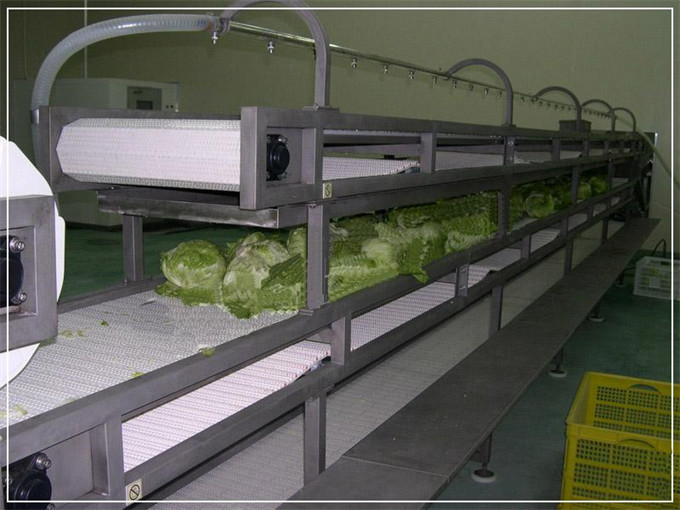 果蔬生产线 (2).jpg