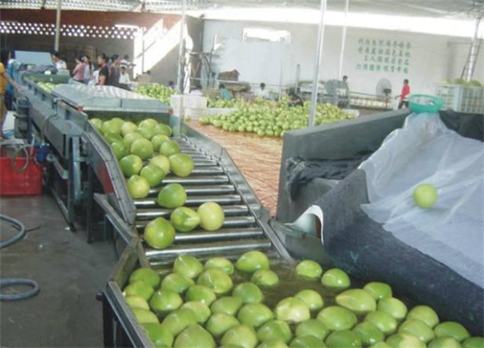 果蔬生产线 (3).jpg